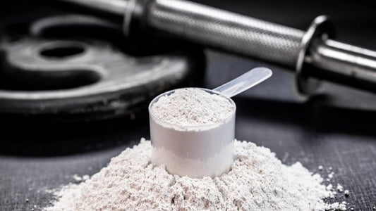 ¿Qué son las proteínas?